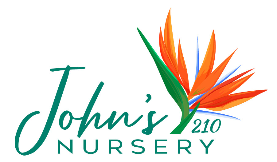 John's nursery