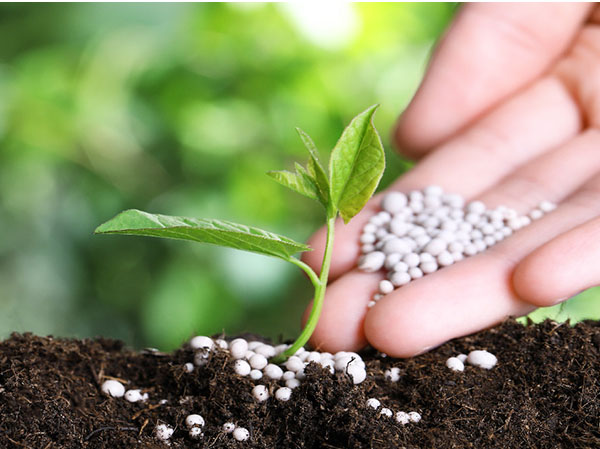 fertilizer